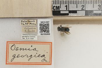 Media type: image;   Entomology 795009 Aspect: Labels